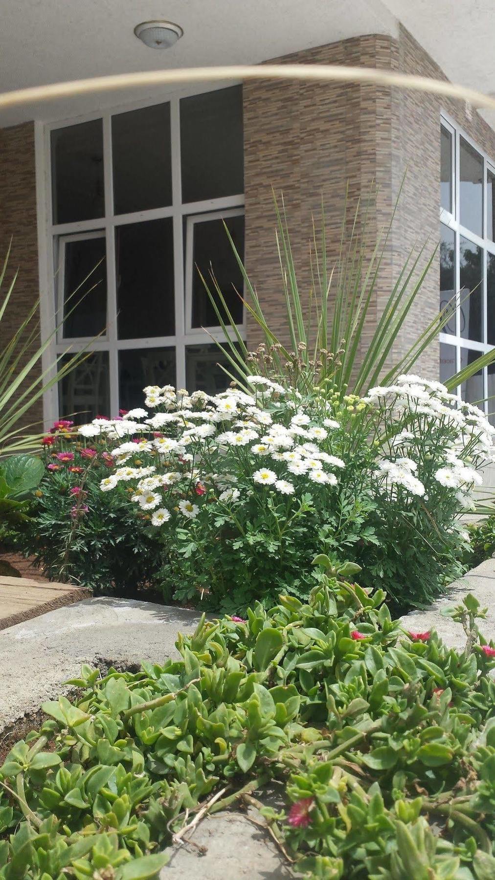 White House Addis Hotel Exterior foto